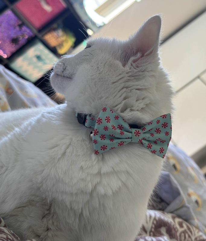 Bow on the front like a bow tie