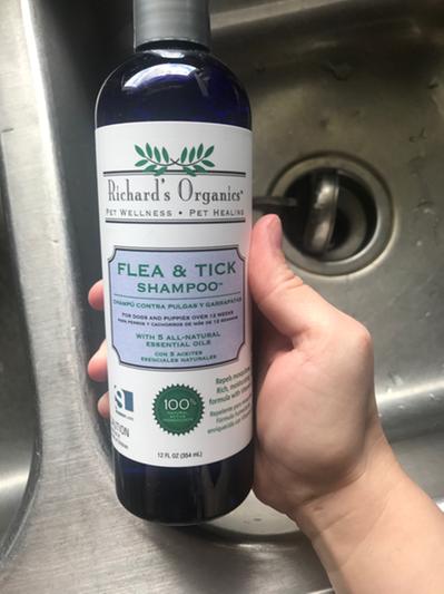 Richards organic flea hot sale and tick shampoo