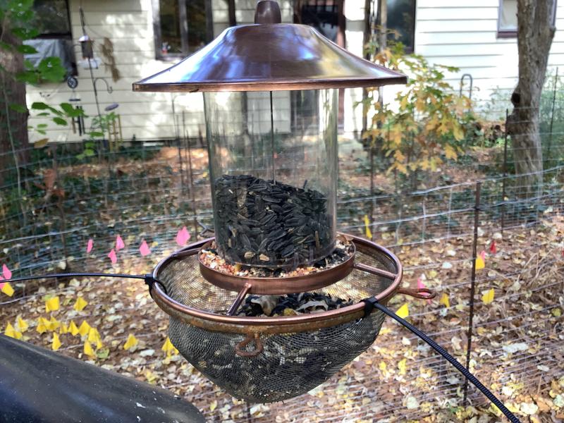 PERKYPET Panorama Bird Feeder, Copper