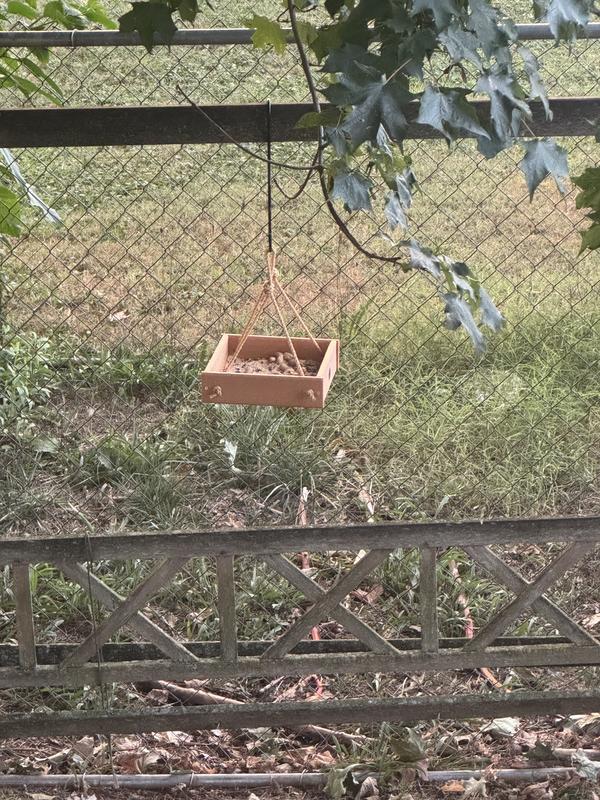 Spruce Creek Bird Feeder