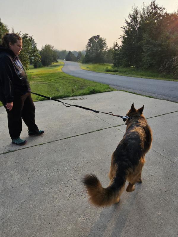 The length she's allowed with the leash fully extended