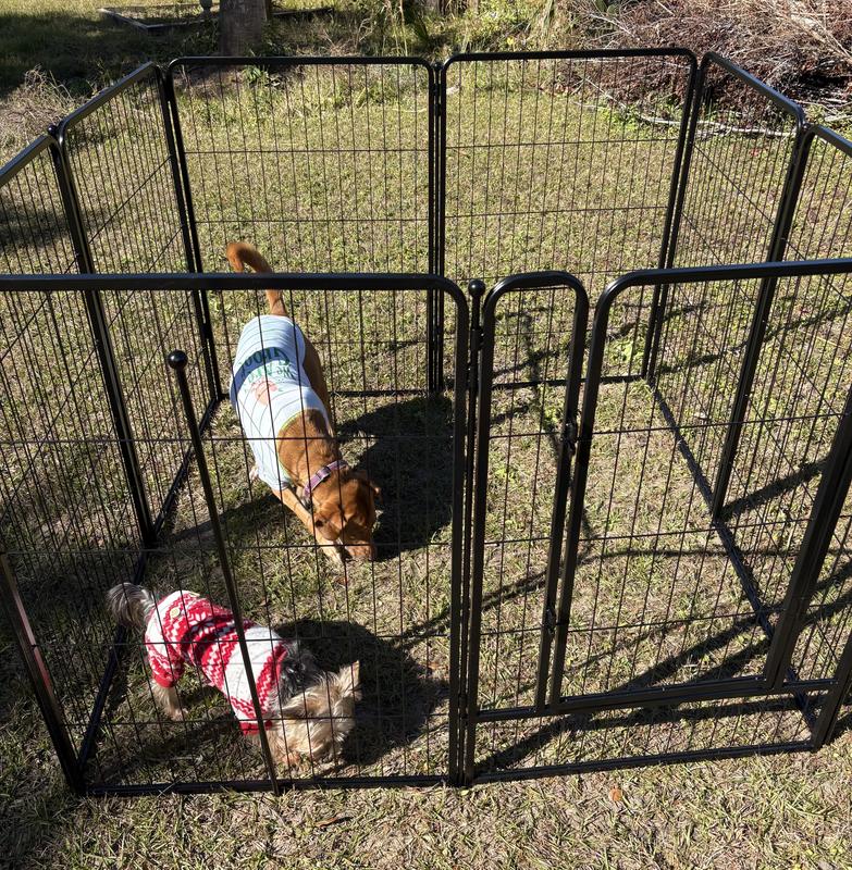 FXW Instant Outdoor Dog Playpen, Black, 45-in, 4-panel - Chewy.com