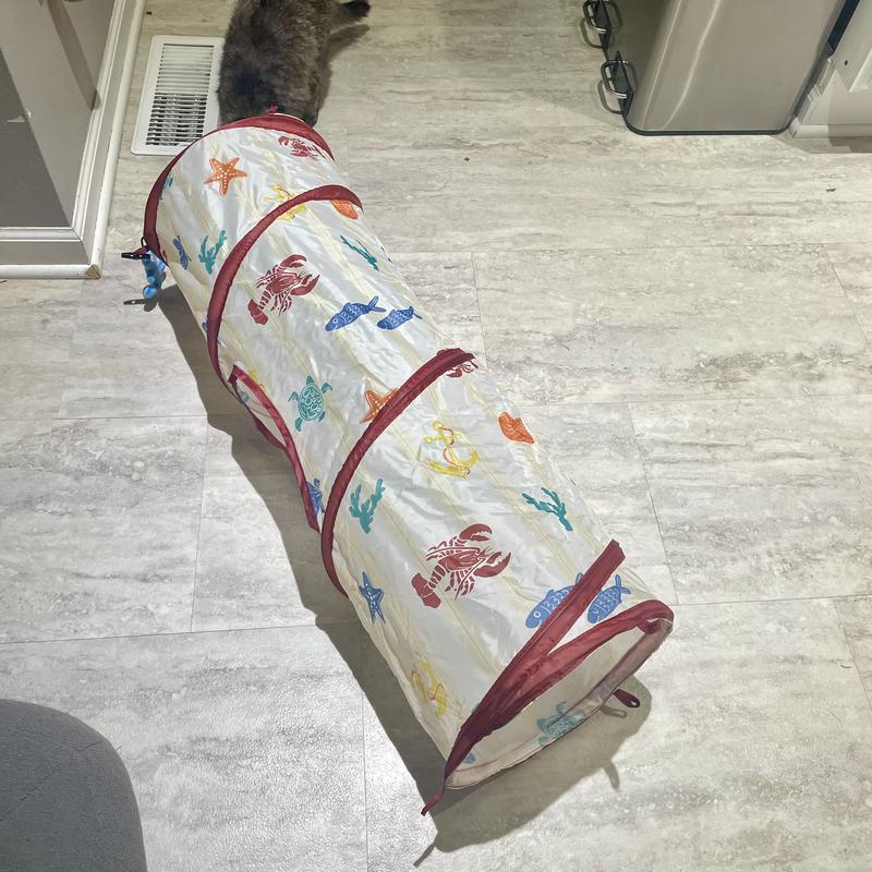 Full tunnel