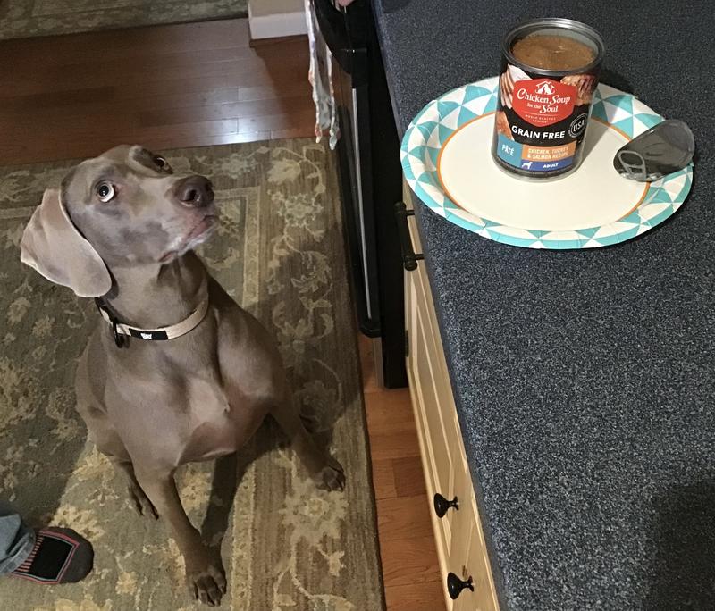 Please can I have it??