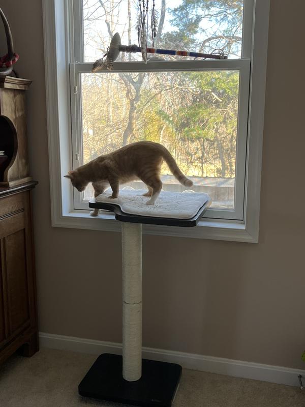 Out of Stock PETFUSION Ultimate Window Cat Perch