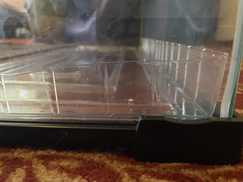 Substrate tray in the back of the tank