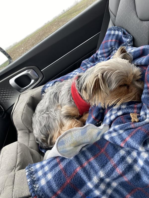 PET GEAR Medium Car Booster, Black