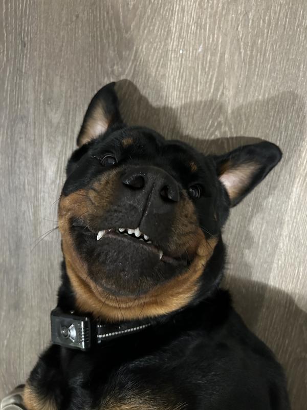 Lavender is a good scent on her