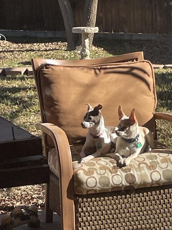 Sitting together on the patio