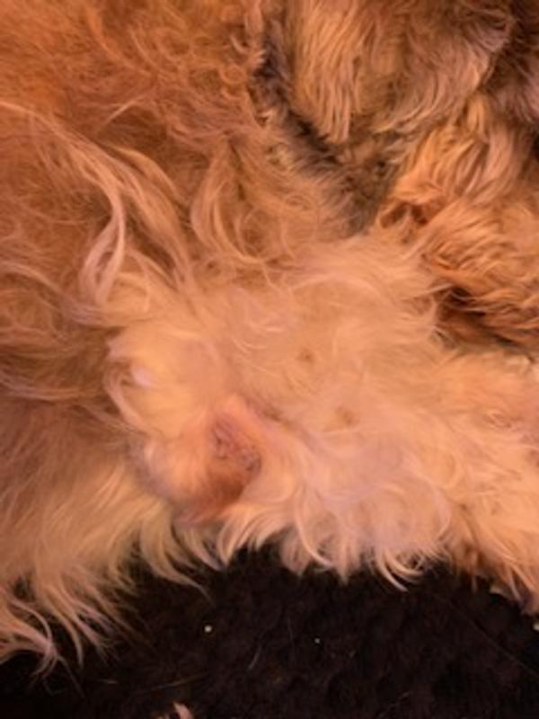 A week of use every other day