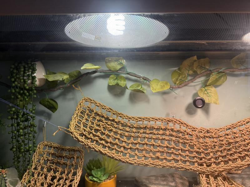 Brightness of the bulb