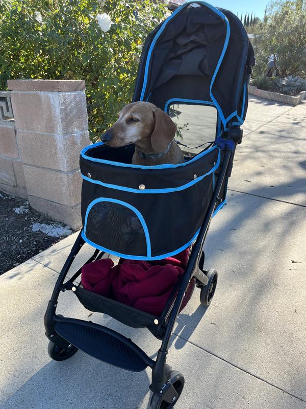 graco ready to grow stroller Ready2Grow 2.0 Double Stroller, 2021, Perkins but folds like a Color:Orange Mack lululemon New Parent Backpack Disney critters