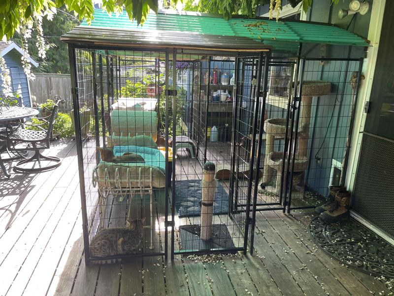 Two Dog kennels put together!