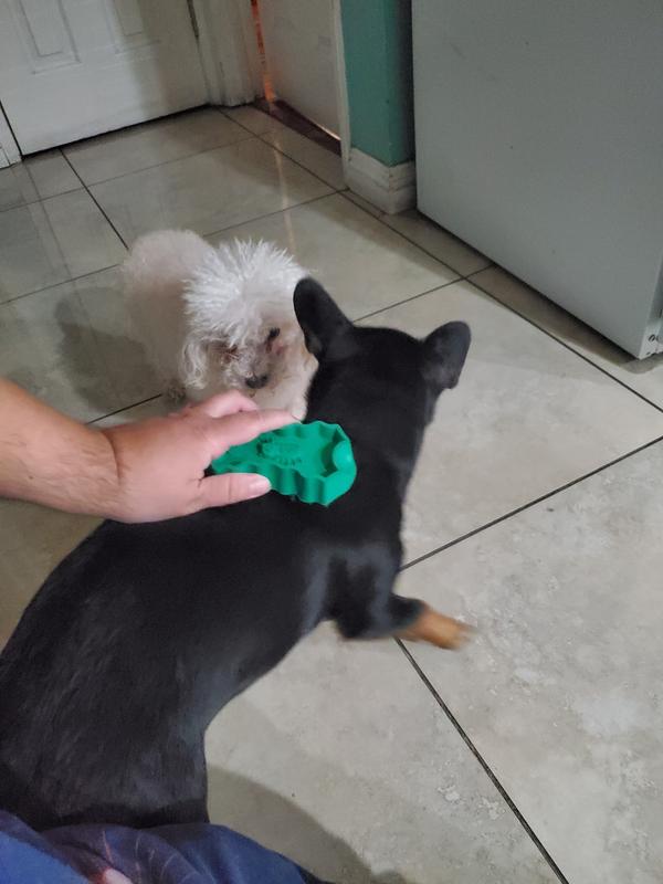 Battling for who gets to be brushed