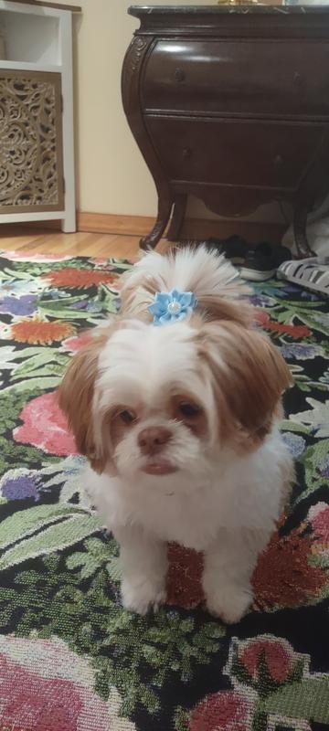 Can't wait for the next meal