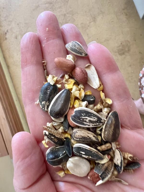 Nearly all huge striped sunflower, peanuts and cracked corn.