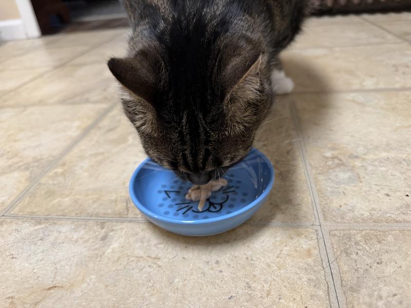 Ivy says YUM!