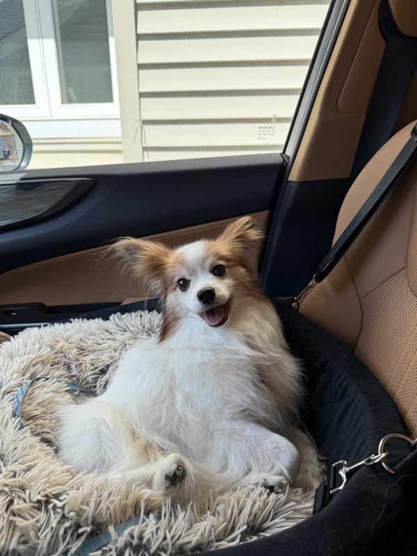 Alert and smiling! ❤️