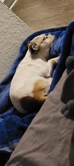 ZzzZzzzzZzzz