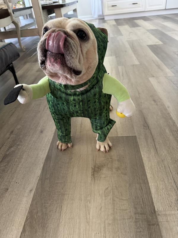 Chico pickle ball champion!