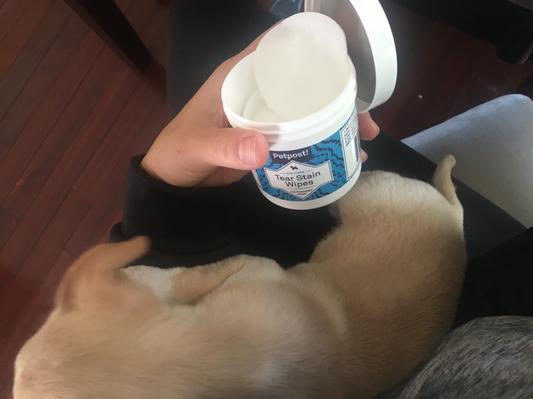 Petpost tear shop stain wipes