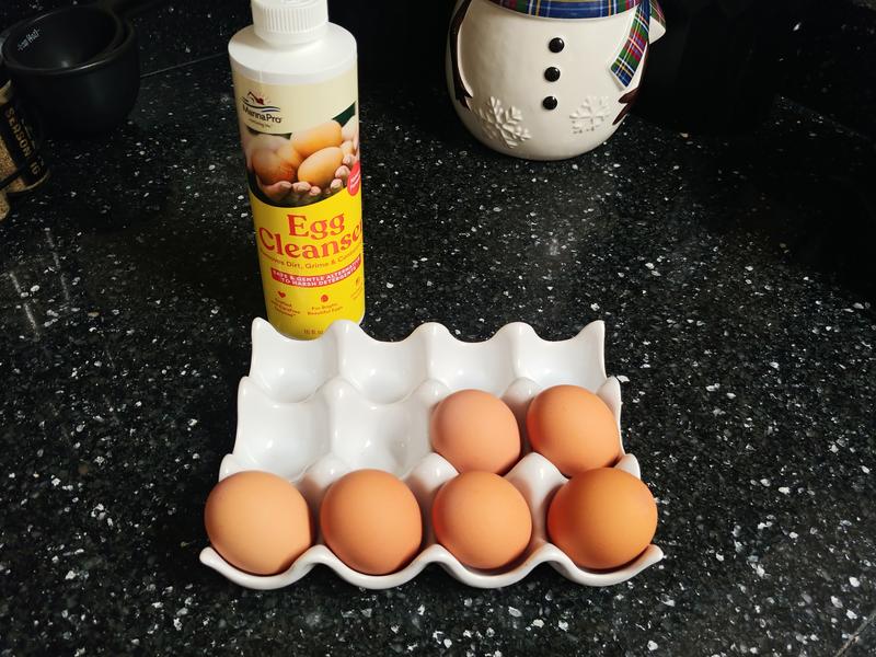 Look at those nice, beautiful, clean eggs!