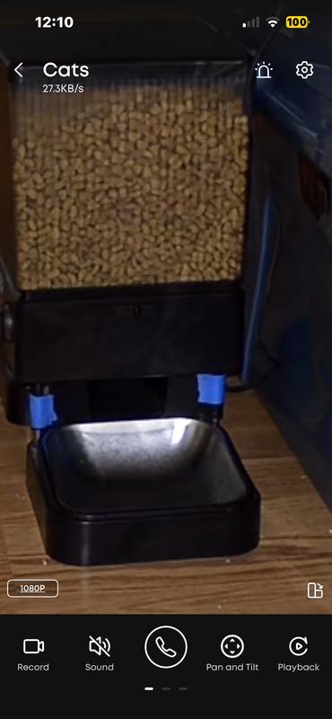 Same image without the "8X" superimposed.