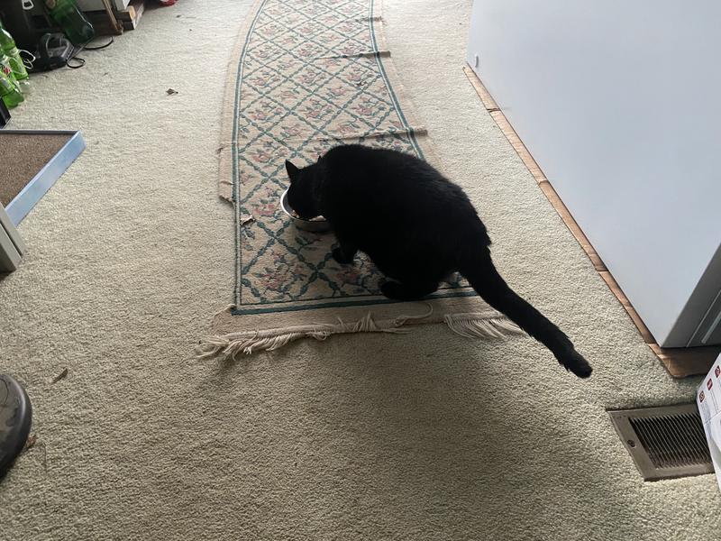 Katy enjoying the food