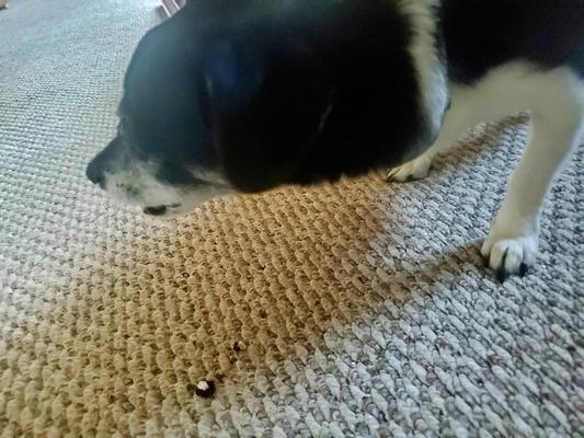 He's not a fan of pictures, obviously.