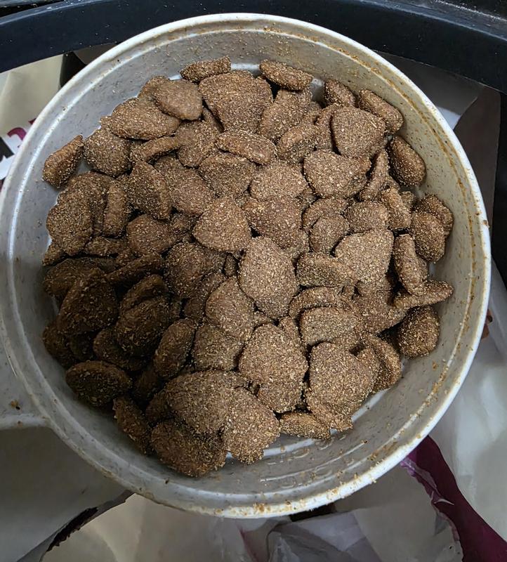Good kibble size for my 70 lb dogs.