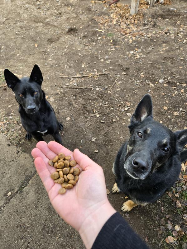 The first taste test!