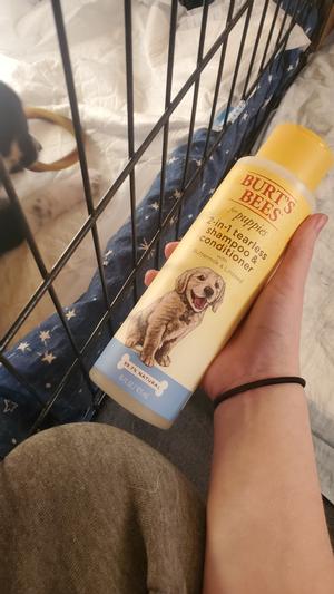 Burt's bees 2 in 1 best sale puppy shampoo