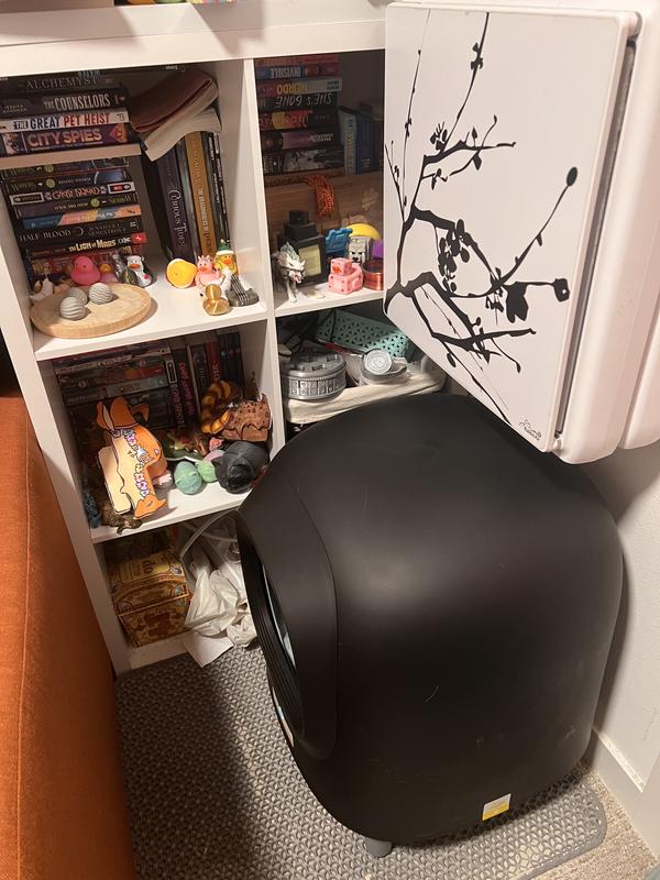 Litterbox in the bedroom