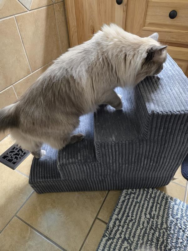14 pound Ragdoll loves these sturdy, well-made stairs