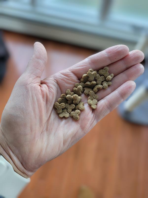 Perfect size for our kitty