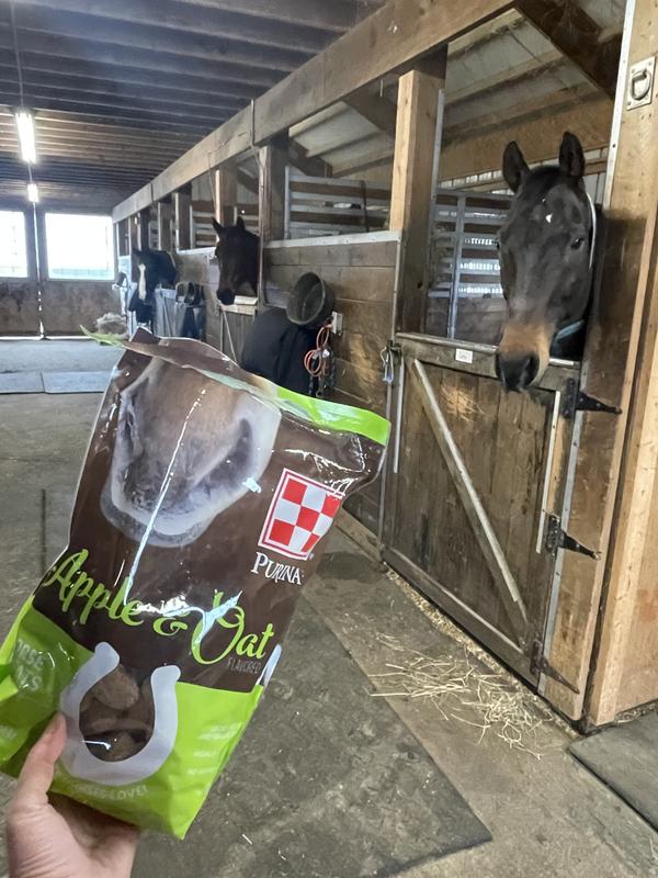 Everybody wants some!