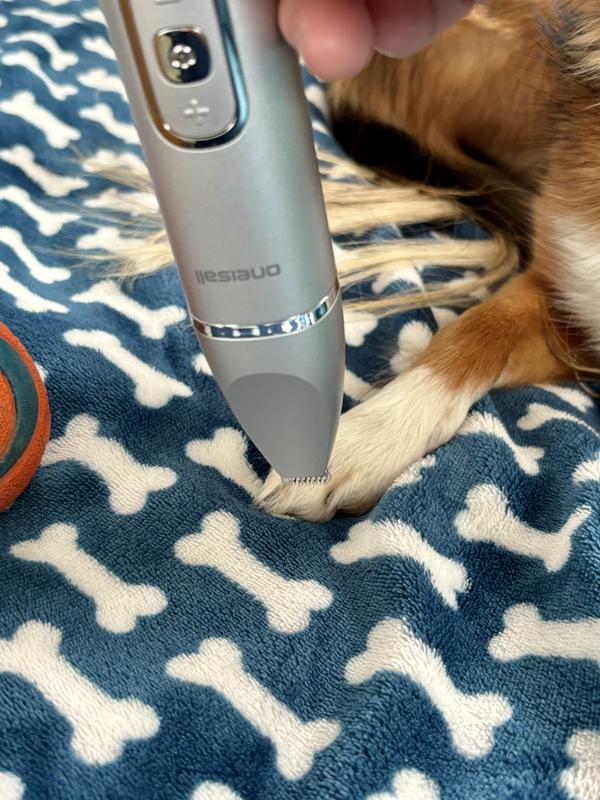 trimmer is good for tidying the paw hair on top too