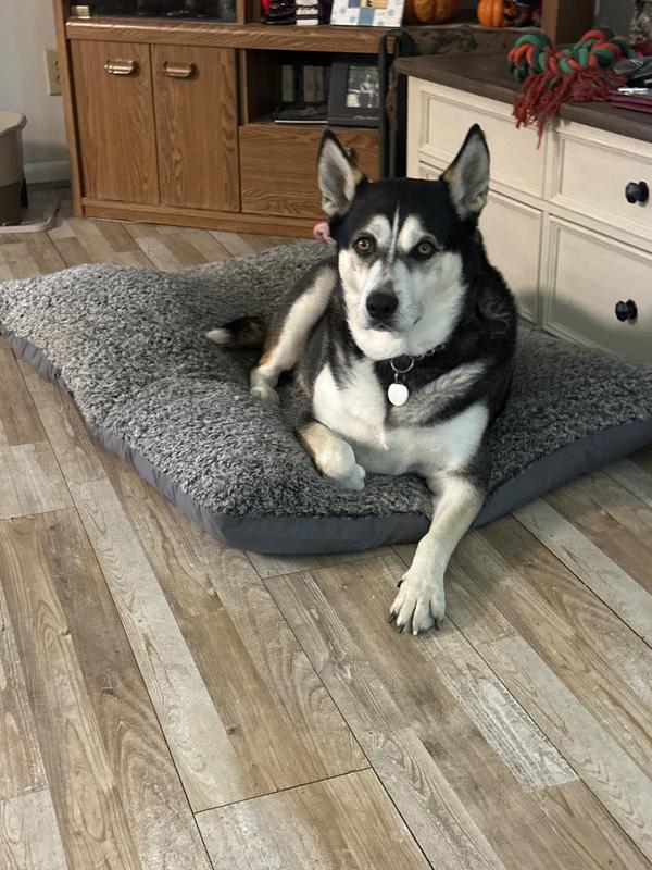 Await his dinner service