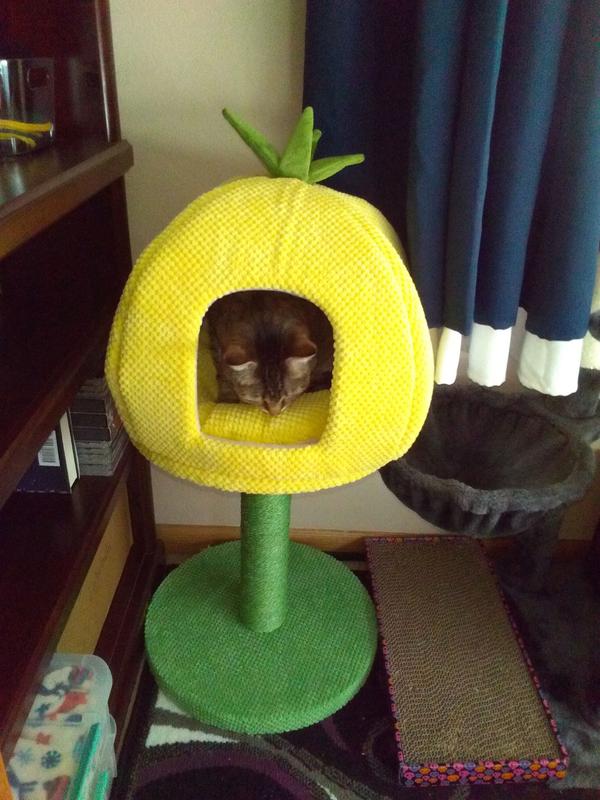 Sides are still collapsed a bit where it was folded in the box