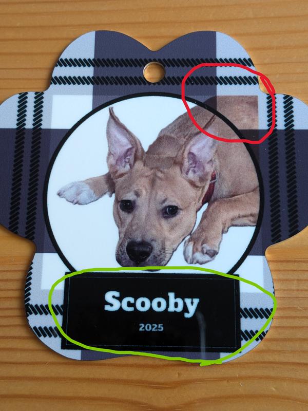 Red line shows area outside of circle print space.