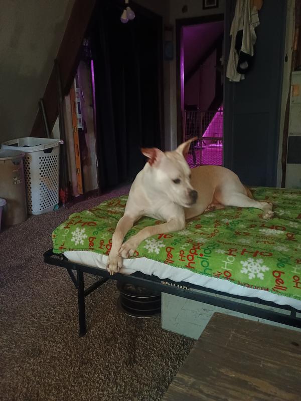 She's a gentle girl.