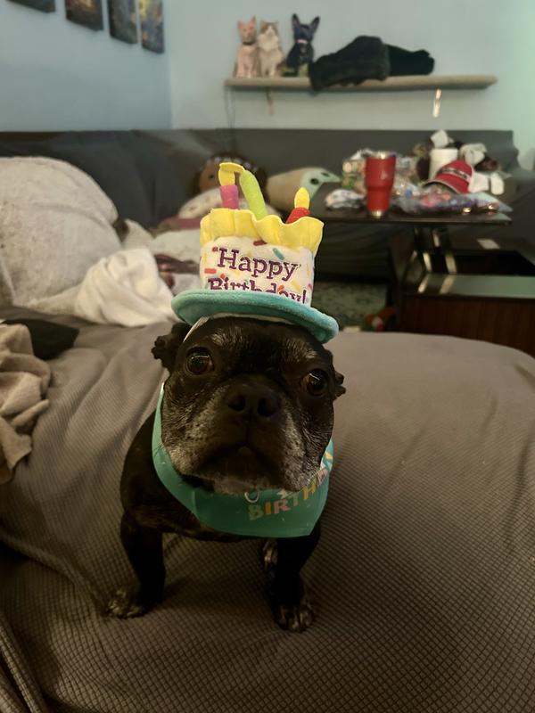 Cutest 5th birthday outfit