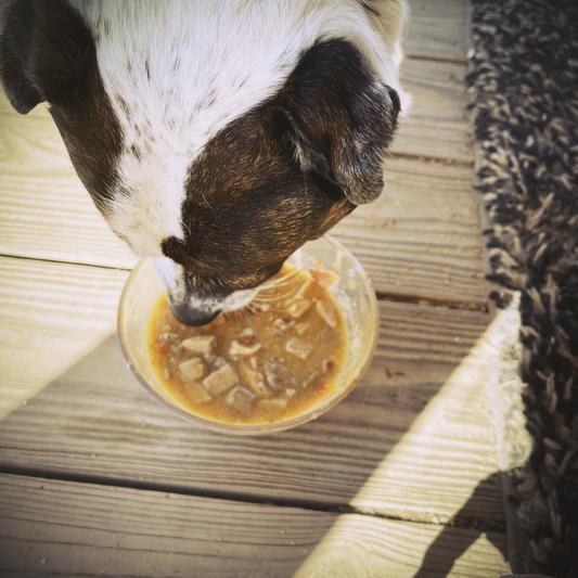 Wingaling on sale dog food