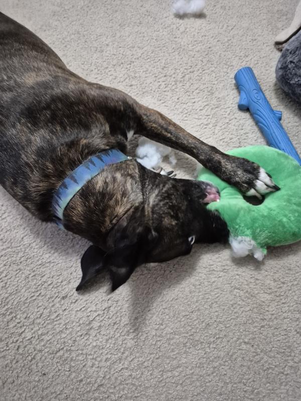 She had to work hard to get that seam apart.