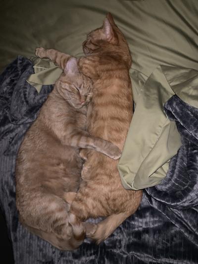 They are fond of each other again!