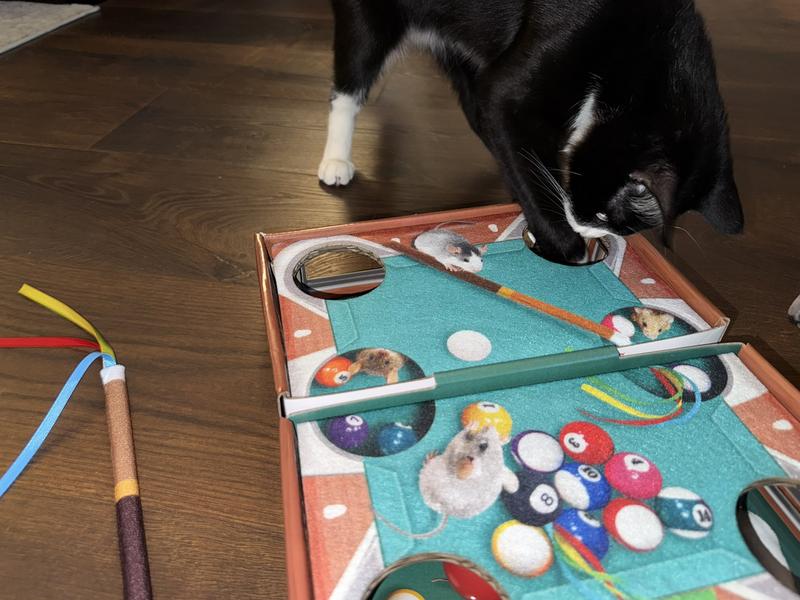 KONG Playground Pool Table Game & Puzzle Cat Toy with Catnip ...