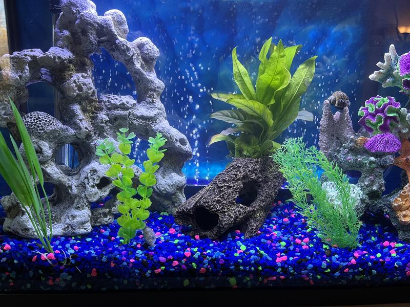 Look nice but fell apart when I moved them