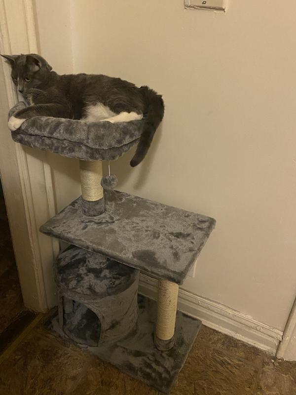 FRISCO 38in Cat Tree with Condo, Top Perch and Toy, Gray
