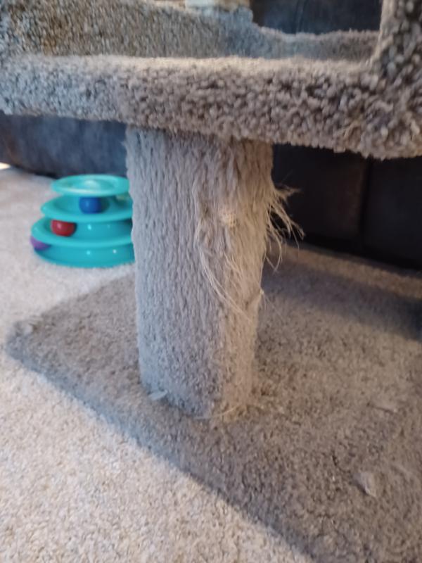 Today after 3 years of use. Still going strong minor chunk missing