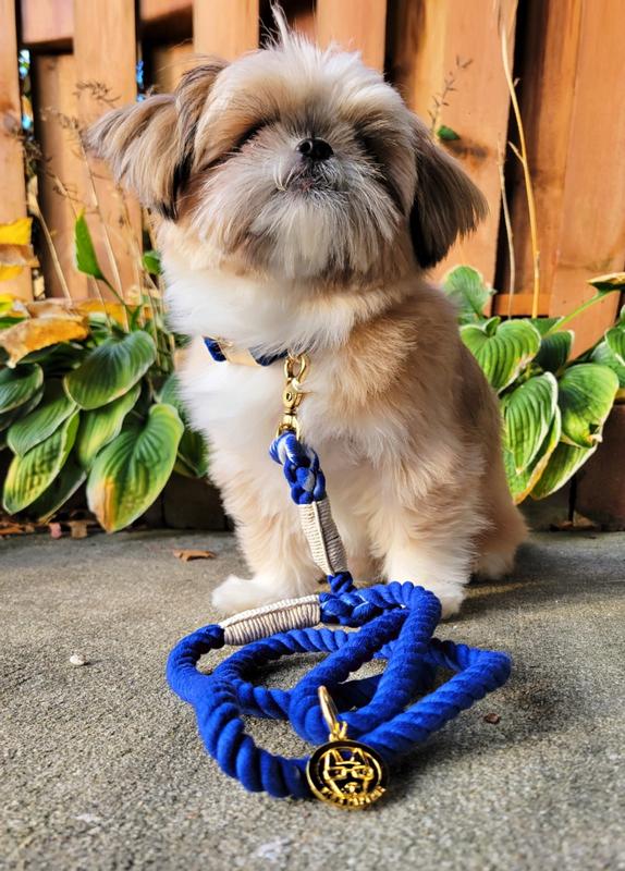 Light and soft enough for a small dog